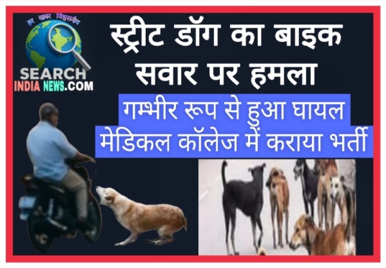 स्ट्रीट डॉग का बाइक सवार व्यक्ति पर हमला, गंभीर रूप से हुआ घायल, मुश्किल से बचाई जान 
