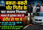 बकरा-बकरी चोर गिरोह के चार सदस्य गिरफ्तार, जावरा से चुराकर कार से इंदौर ले गए थे