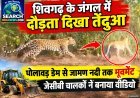 शिवगढ़ के जंगल में दौड़ता दिखा तेंदुआ, धोलावड़ डेम से जामण नदी तक मूवमेंट, जेसीबी चालकों ने बनाया वीडियो