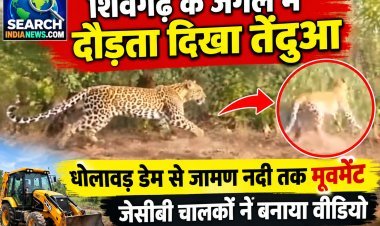 शिवगढ़ के जंगल में दौड़ता दिखा तेंदुआ, धोलावड़ डेम से जामण नदी तक मूवमेंट, जेसीबी चालकों ने बनाया वीडियो