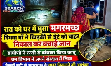रात को घर मे घुसा मगरमच्छ,    मां ने खिड़की से 7 वर्षीय बेटे को बाहर निकाल कर बचाई जान
