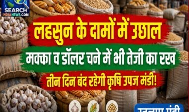 लहसुन के दामों  में उछाल, मक्का व डॉलर चने में भी तेजी का रूख, तीन बंद रहेगी कृषि उपज मंडी