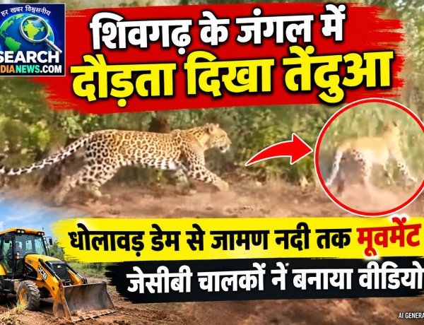 शिवगढ़ के जंगल में दौड़ता दिखा तेंदुआ, धोलावड़ डेम से जामण नदी तक मूवमेंट, जेसीबी चालकों ने बनाया वीडियो