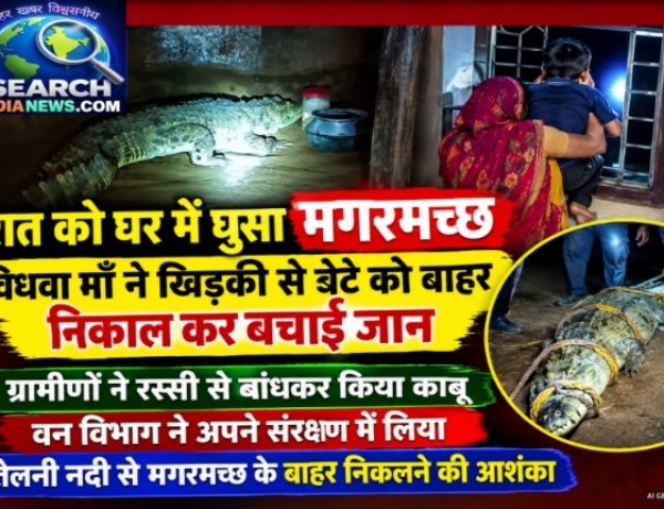 रात को घर मे घुसा मगरमच्छ,    मां ने खिड़की से 7 वर्षीय बेटे को बाहर निकाल कर बचाई जान