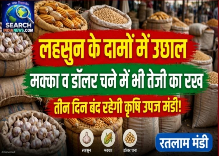 लहसुन के दामों  में उछाल, मक्का व डॉलर चने में भी तेजी का रूख, तीन बंद रहेगी कृषि उपज मंडी